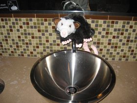 IMG_2471.JPG