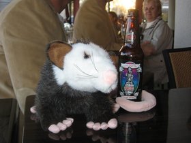 IMG_2501.JPG