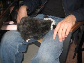 IMG_2502-2.JPG