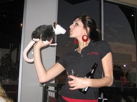 IMG_2509.JPG