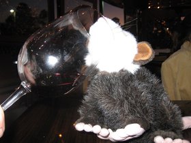IMG_2516-2.JPG