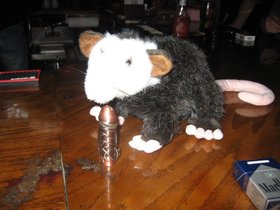 IMG_2640.JPG